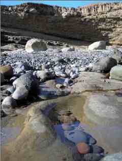 Tidepools-Cabrillo-National-Monument-San-Diego-Tide-Pools